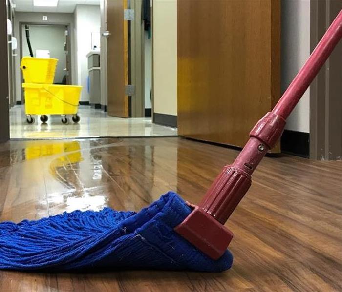 A person mopping hardwood floor in an office.